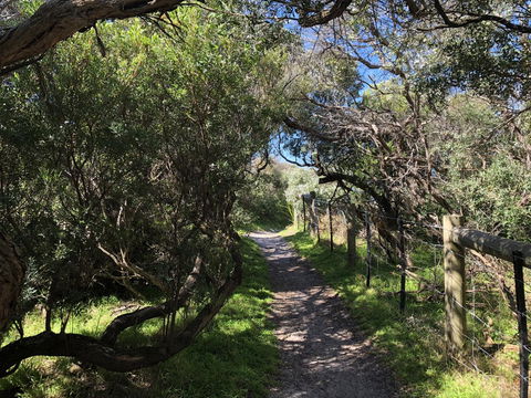 Beautiful, Cosy And Quiet - South Australia Travel 20