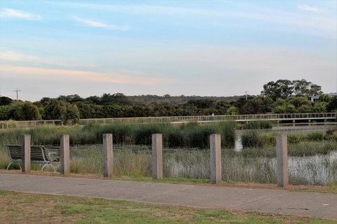 Escape On Birch - South Australia Travel 37