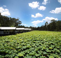 The Boathouses at Leaves  Fishes - South Australia Travel