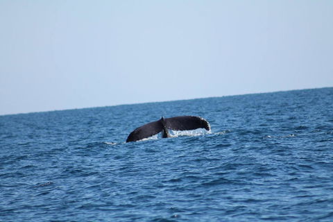 The Cove Holiday Village - South Australia Travel 1