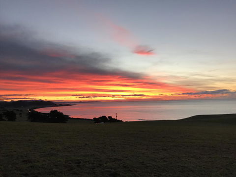 The Cove Tasmania - South Australia Travel 1