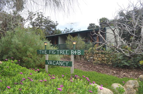The Fig Tree B&B - South Australia Travel 0