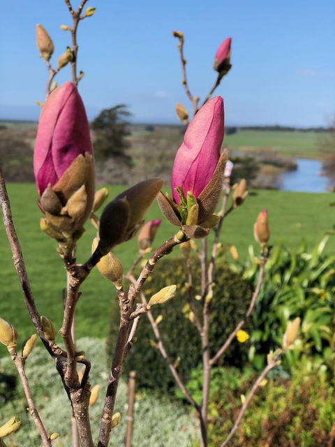 The Granary - South Australia Travel 3