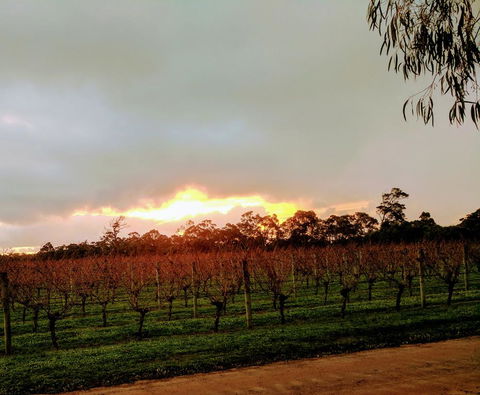 The Grove Distillery & Brewery - South Australia Travel 2