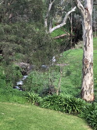 The Miners Cottage Barossa