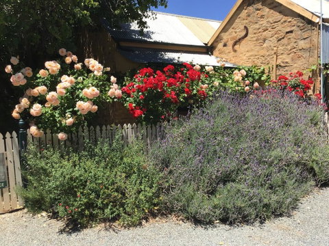 The Olde Devonshire House - South Australia Travel 2