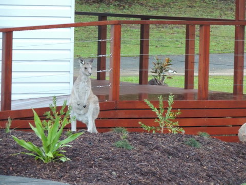 The Pouch B & B - South Australia Travel 1