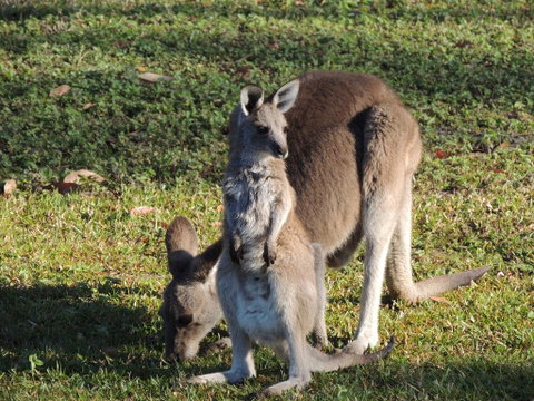 The Pouch B & B - South Australia Travel 2