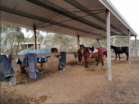 The Saddle Camp Tiny House, Braidwood - South Australia Travel 1