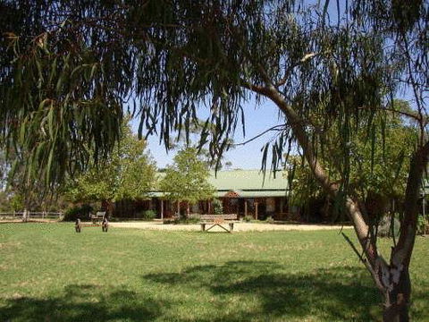The Vineyard Motel - South Australia Travel 0