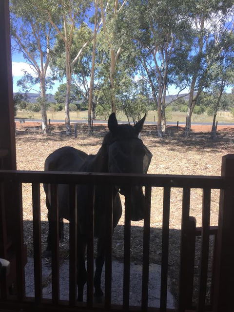 Thie My Chree Retreat - South Australia Travel 3