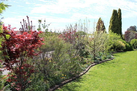 Top Of The Town Motel - South Australia Travel 2