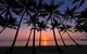 Tranquility Relax Palm Cove - thumb 1