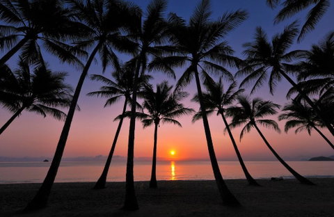 Tranquility Relax Palm Cove - South Australia Travel 1