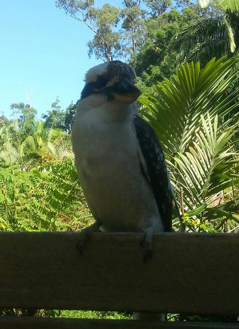 Tropic Oasis - South Australia Travel 3
