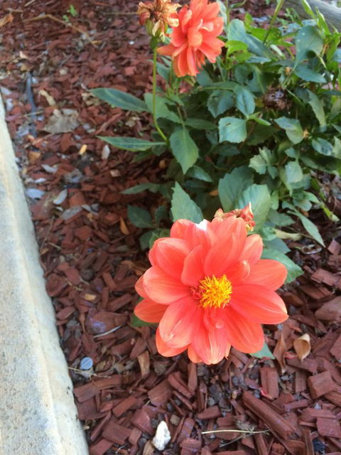 Tumut Valley Motel - South Australia Travel 1