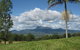 Tyalgum Ridge Retreat - thumb 3