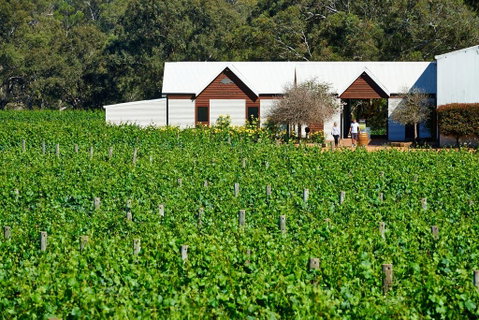 Upper Reach Spa Cottage - South Australia Travel 0