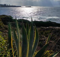 Ven  Marks Place - South Australia Travel