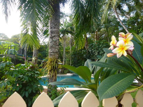 Villa Marine Holiday Apartments Cairns - South Australia Travel 1