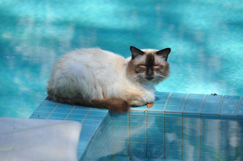 Villa Nirvana - South Australia Travel 3