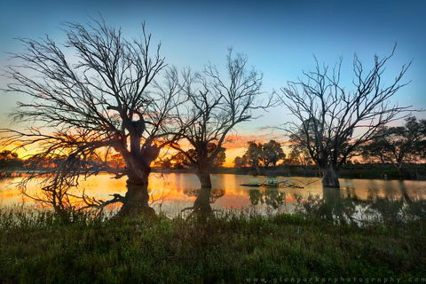 Warrawong On The Darling Wilcannia - South Australia Travel 3