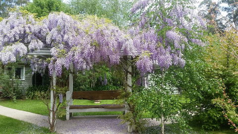 Amelina Cottages - South Australia Travel 0