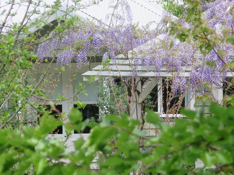 Amelina Cottages - South Australia Travel 5