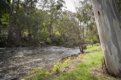 Oscar\'s On The Yarra - South Australia Travel 23