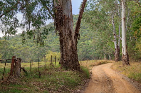 Alpine Aspects - South Australia Travel 10