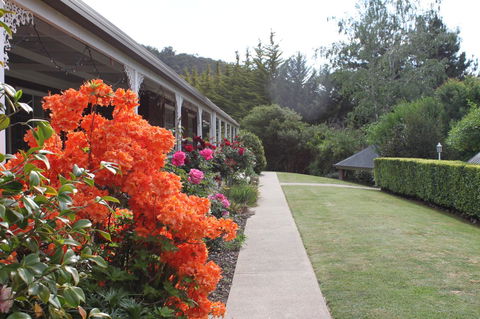 Alpine Aspects - South Australia Travel 34