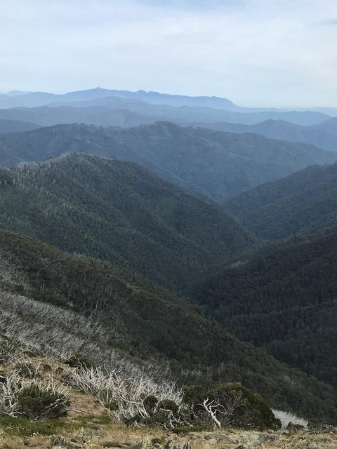 Alpine Aspects - South Australia Travel 9