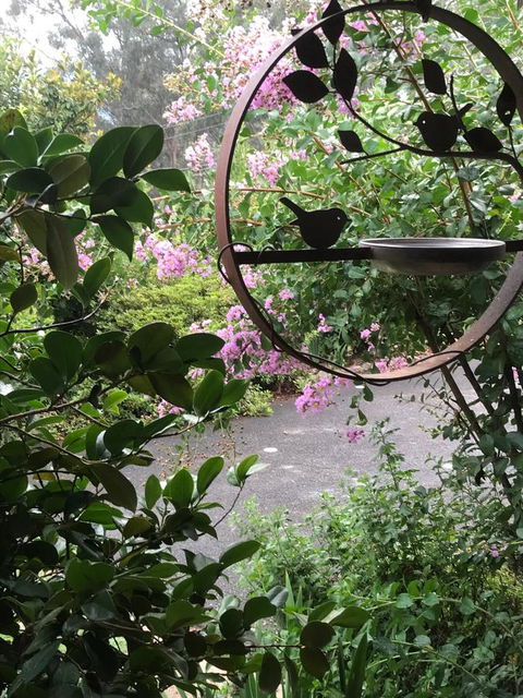 Alpine Aspects - South Australia Travel 3