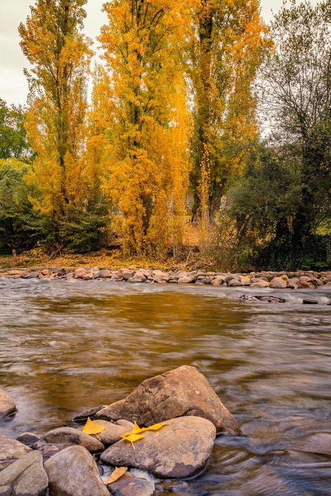 Alpine Aspects - South Australia Travel 6