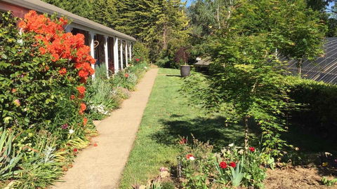 Alpine Aspects - South Australia Travel 4