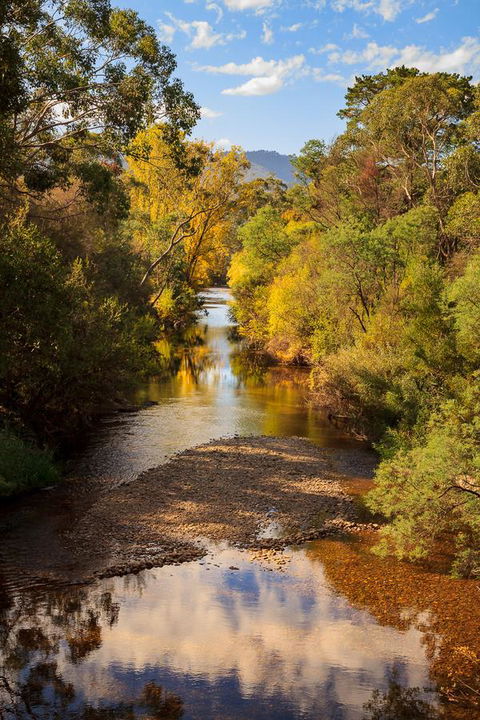 Alpine Aspects - South Australia Travel 31