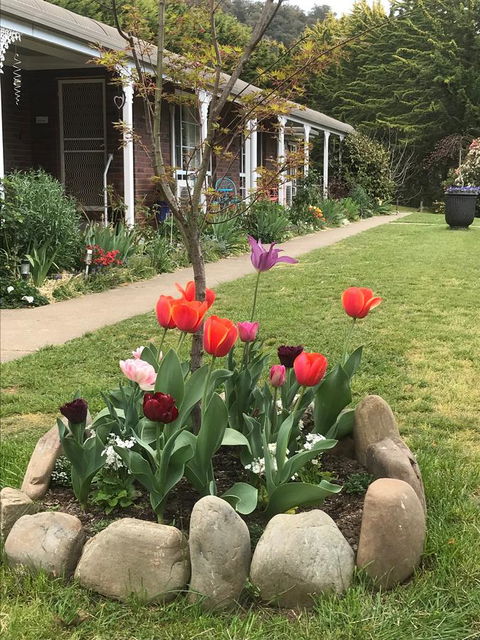 Alpine Aspects - South Australia Travel 7