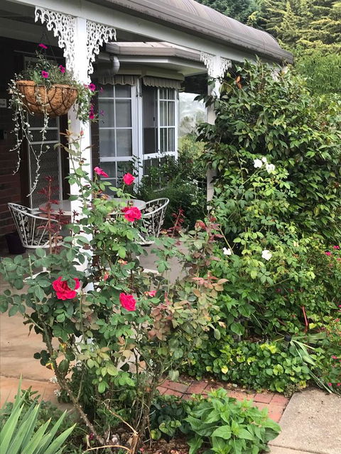 Alpine Aspects - South Australia Travel 30