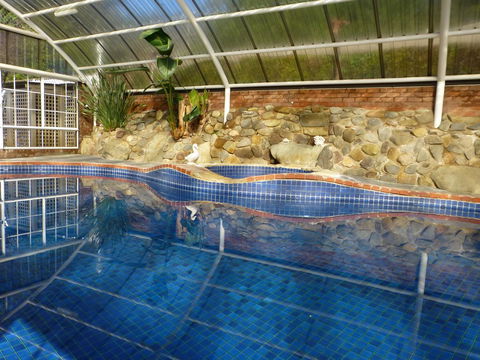 Alpine Aspects - South Australia Travel 39