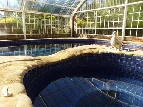 Alpine Aspects - South Australia Travel 38