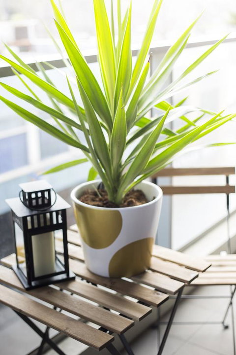 Complete Host 50 Claremont St Apartments - South Australia Travel 6