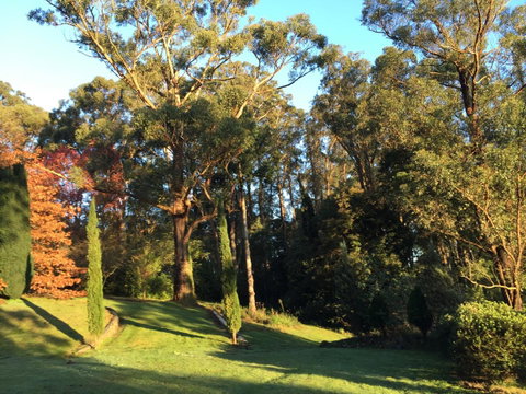 The Dan - South Australia Travel 23