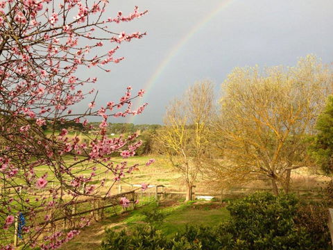 Australian Home Away @ Wonga Park Brushy Creek - South Australia Travel 19