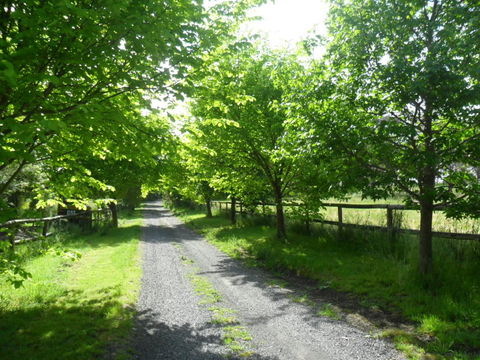 Australian Home Away @ Wonga Park Brushy Creek - South Australia Travel 0