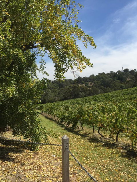 Australian Home Away @ Wonga Park Brushy Creek - South Australia Travel 1