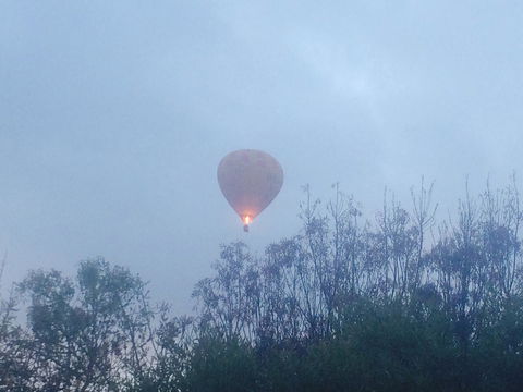 Australian Home Away @ Wonga Park Brushy Creek - South Australia Travel 21