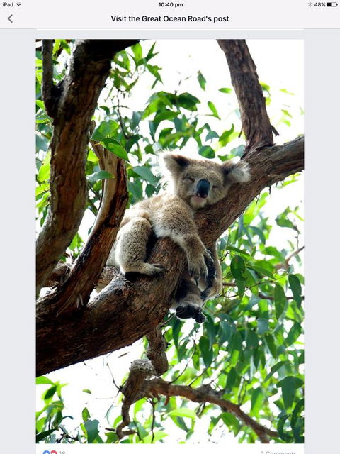 Austral Place 88 Via Merri River - South Australia Travel 24