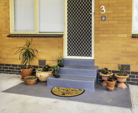 Bacchus Centro - South Australia Travel 8