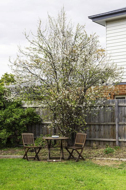 Bacchus Centro - South Australia Travel 9