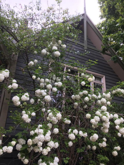 Oak Tree Lodge - South Australia Travel 21